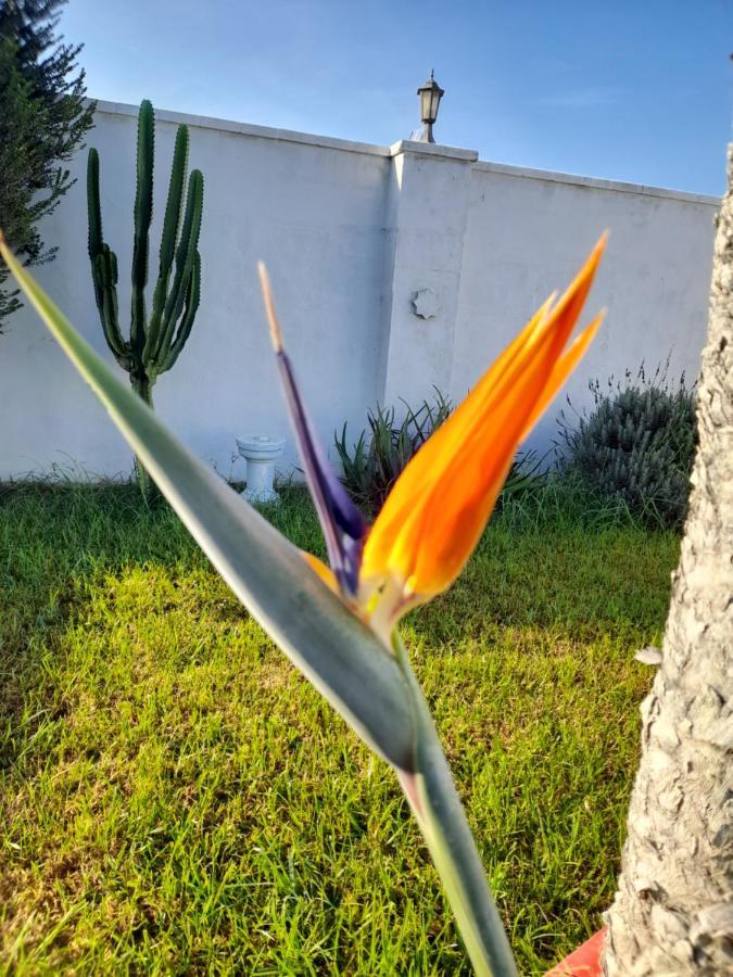 Alojamientos Rurales Inma Conil De La Frontera Exteriör bild